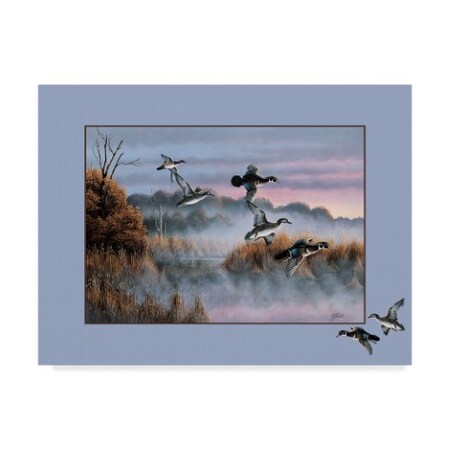 Trademark Fine Art